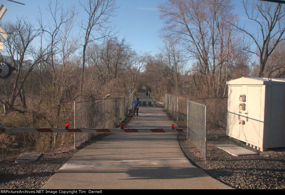 Looking down the Pennypack trail, once the Newtown Branch for SEPTA.